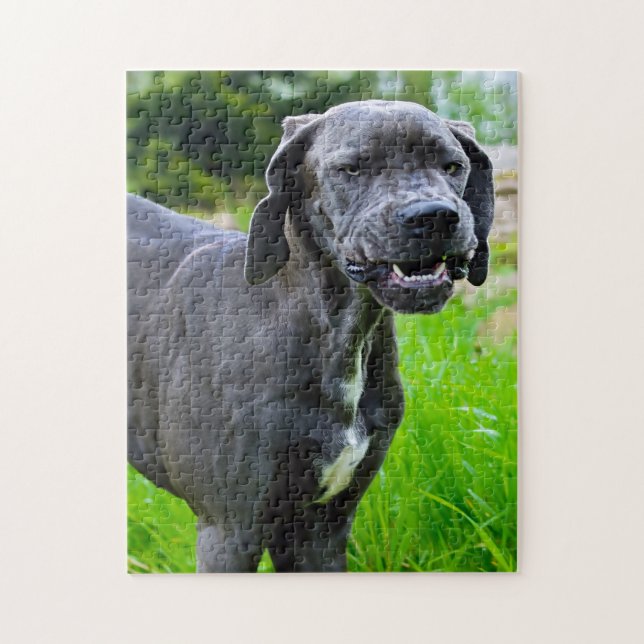 Great Dane. Jigsaw Puzzle (Vertical)