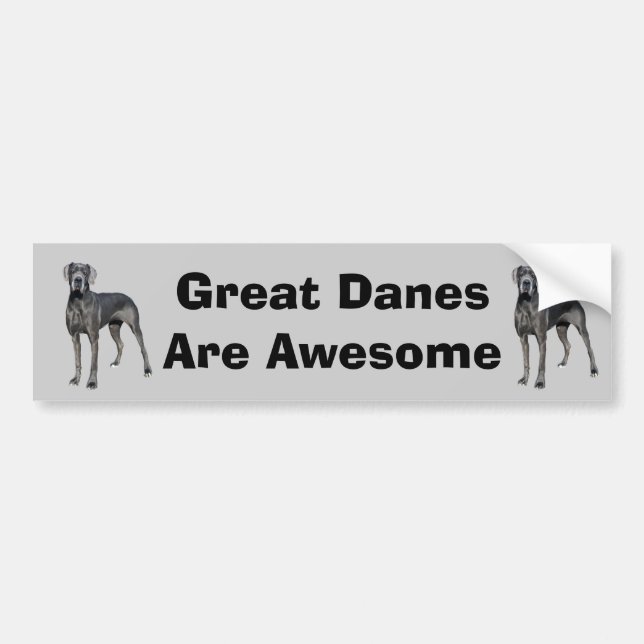 Great Dane King of Dogs Bumper Sticker (Front)