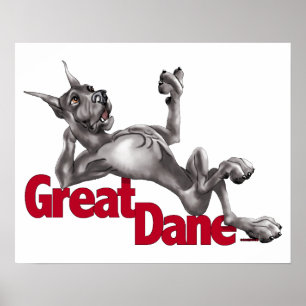 Great Dane Laid Back Black Poster