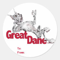 Great Dane Laid Back Merle