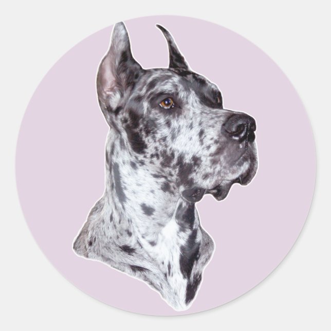 Great Dane Merle Cropped Classic Round Sticker (Front)