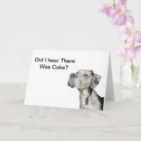 Great Dane Merle - Funny Birthday