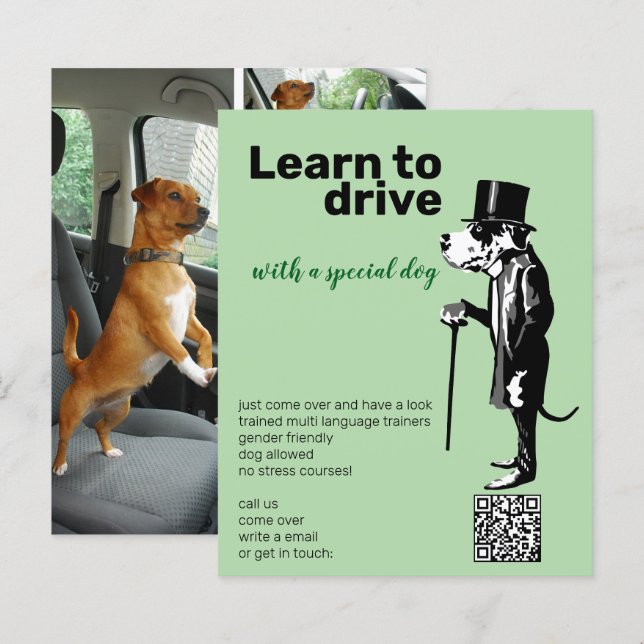 Great Dane Mister Alf driver flyer  (Front/Back)