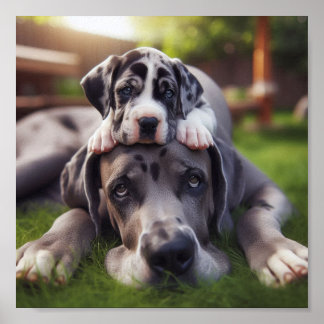 Great Dane mom and her puppy Poster