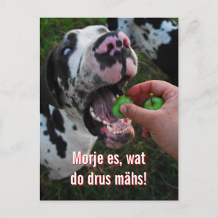 Great Dane Motto Motivation  Postcard