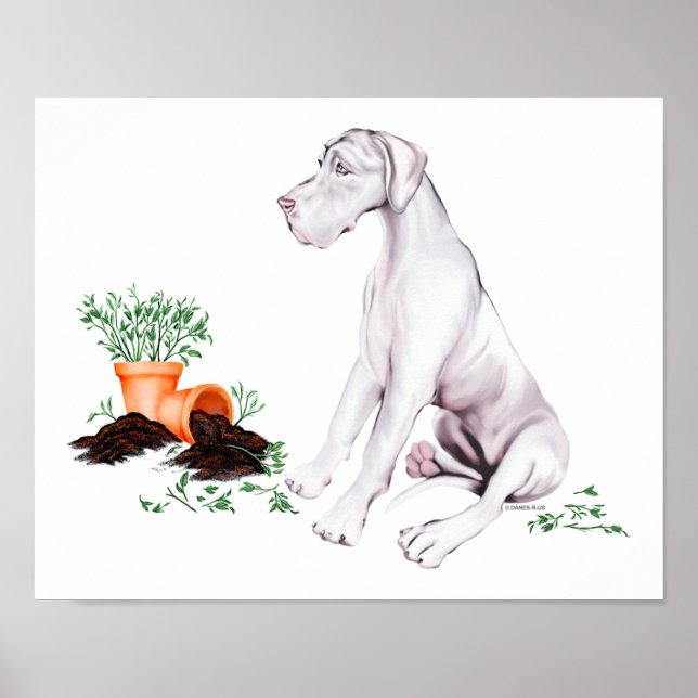 Great Dane Naughty Pup White UC Poster (Front)