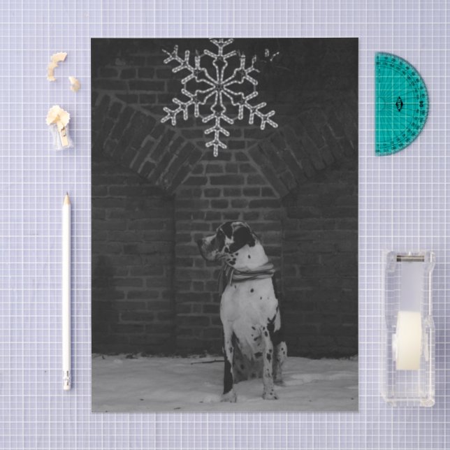 Great Dane Nestor  Tissue Paper (Craft)