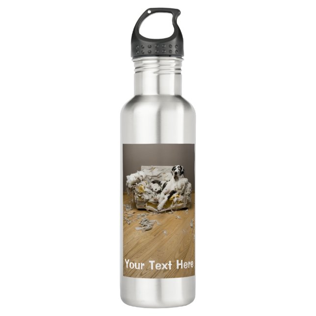 Great Dane on Chewed Sofa Aluminum 710 Ml Water Bottle (Front)