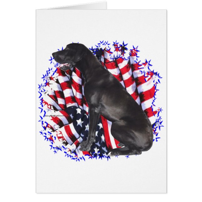 Great Dane Patriot (Front)
