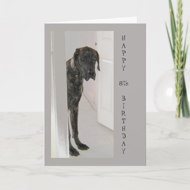 Great Dane Pet Dog 8TH Happy Birthday Humour Card (Front)