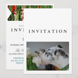 Great Dane Photo invitation 