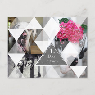 Great Dane Photographic Cards