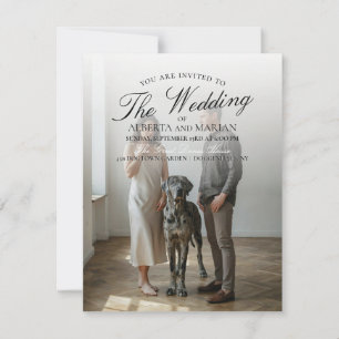 Great Dane Photography Wedding Invitations