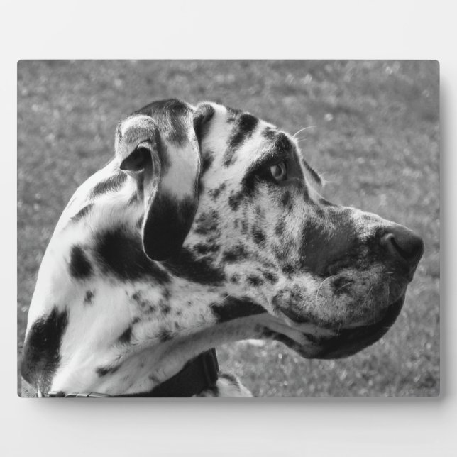 GREAT DANE PLAQUE (Front)