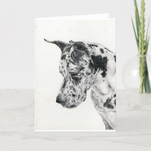 Great Dane Portrait Blank Greeting Card