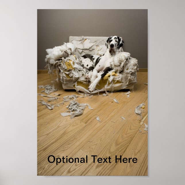 Great Dane Poster (Front)