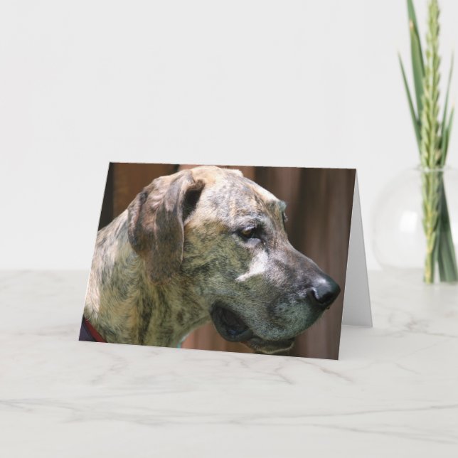 Great Dane Profile Greeting card (Front)