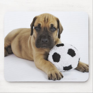Great Dane puppy with toy soccer ball Mouse Pad