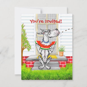 Great Dane SPIT Harlequin Invitation