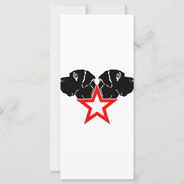 Great Dane Star Head (Front)