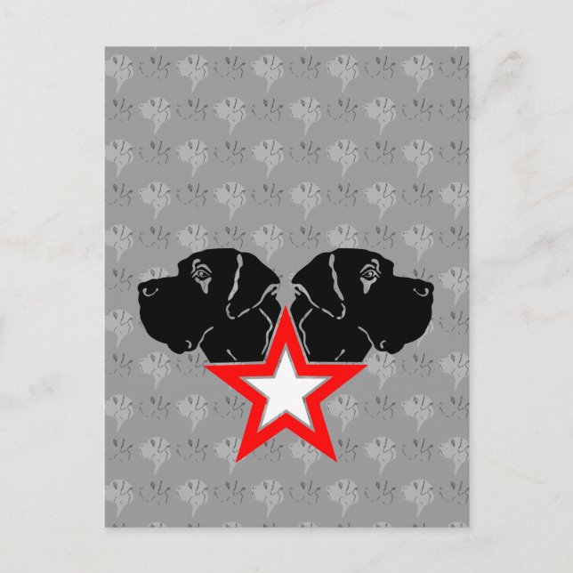 Great Dane Star Head Postcard (Front)