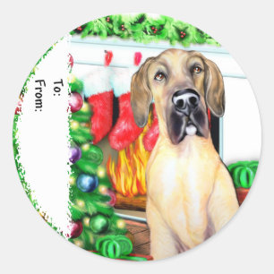 Great Dane Stockings Fawn UC Gift Tags