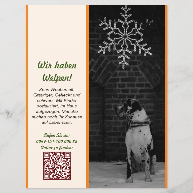 Great Dane template as Flyer sell dogs (Front)