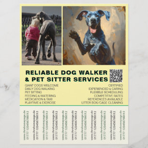 Great Dane Walker Simple Strip Flyer
