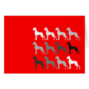Great Danes