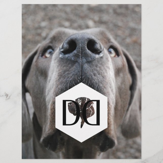 Great Danes Breeder Flyer (Front)