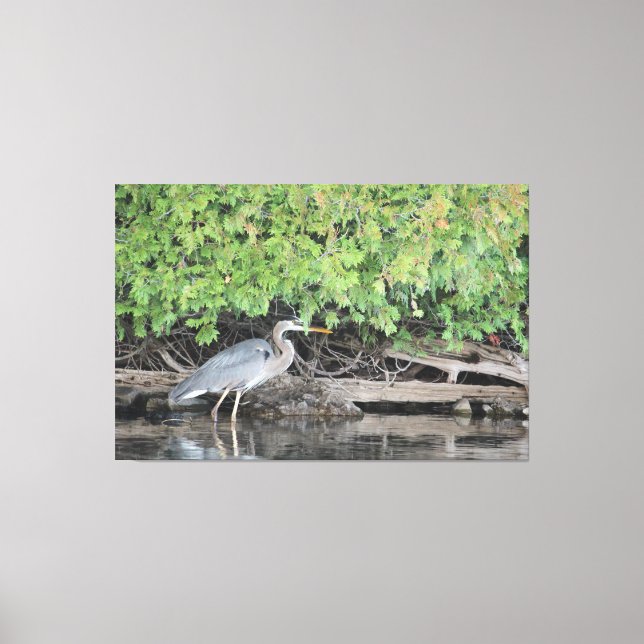 Great Day For A Stroll Canvas Print (Front)