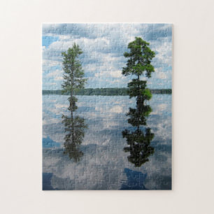 Great Dismal Swamp North Carolina. Jigsaw Puzzle