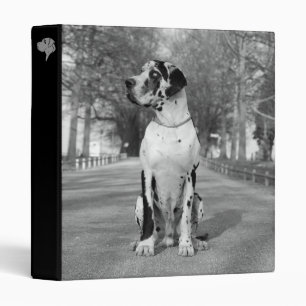 Great Dog black & white Binder