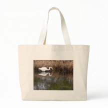 Great Egret 1
