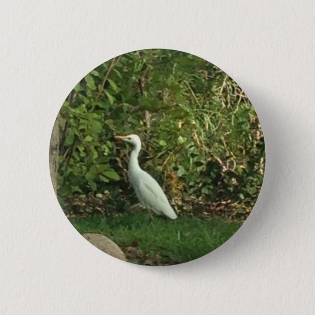 Great Egret 2 Inch Round Button (Front)