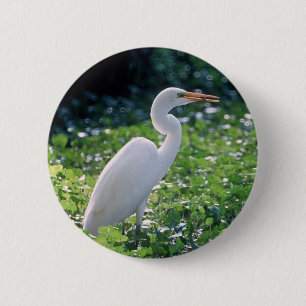 Great Egret 2 Inch Round Button