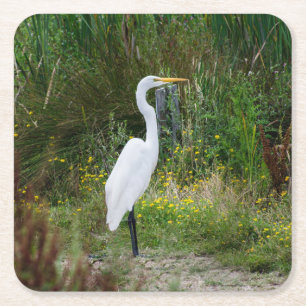 Great Egret Drink Coaster