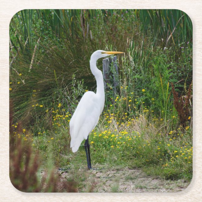 Great Egret Drink Coaster (Front)