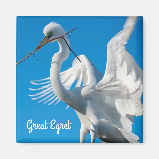 Great Egret Magnet (Front)
