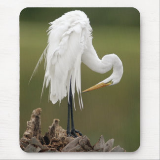 Great Egret Mouse Pad