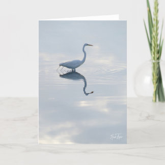 Great Egret notecard