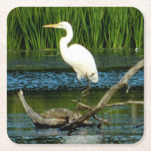 Great Egret Paper Coaster