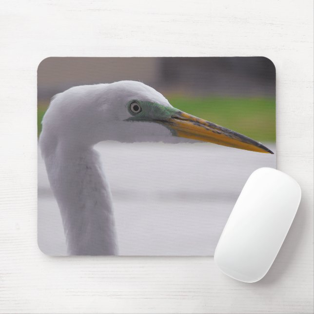 Great Egret posing Mouse Pad (With Mouse)