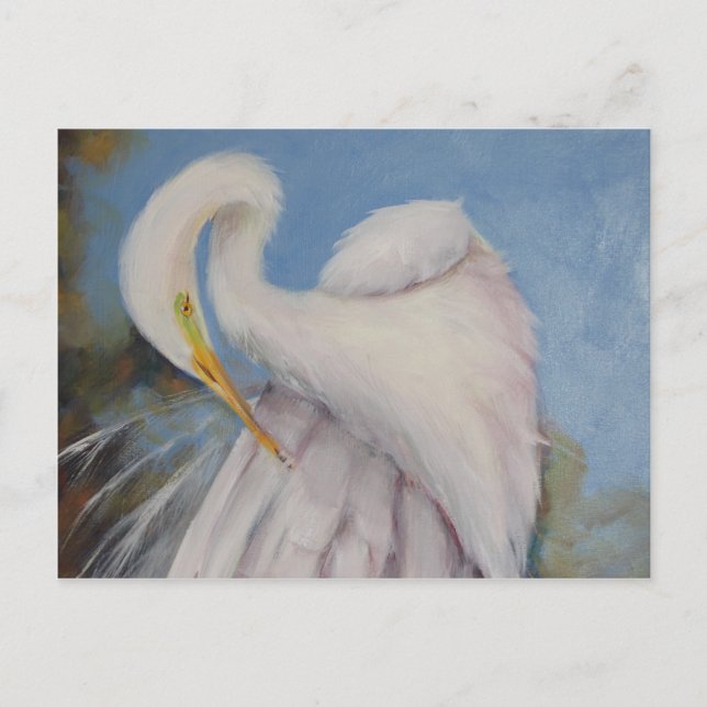 Great Egret Postcard (Front)