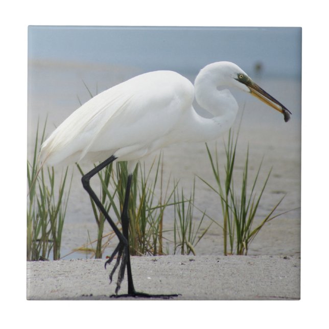 Great Egret Tile (Front)