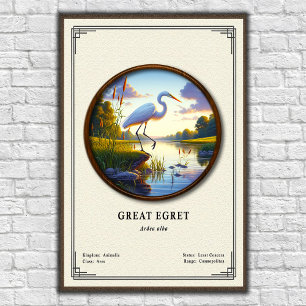 Great Egret Zoology Series Poster