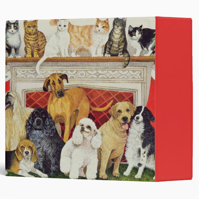 Great Expectations Binder (Back/Spine)