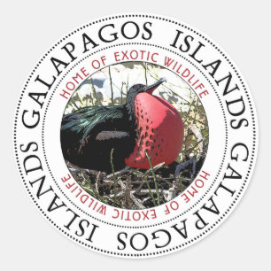Great Frigate Bird Galapagos Islands Classic Round Sticker