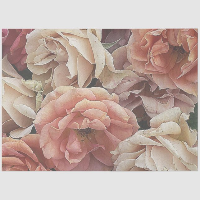 great garden roses, soft peach tissue paper (Front)
