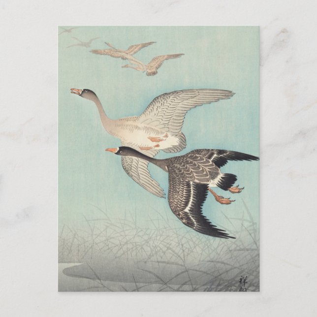 Great Geese in Flight Painting by Ohara Koson Postcard (Front)